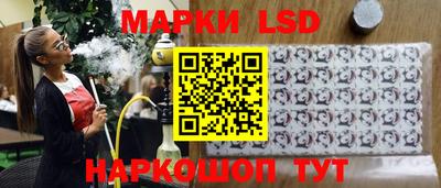 прущие грибы Шахты