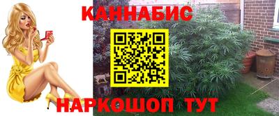 прущие грибы Шахты