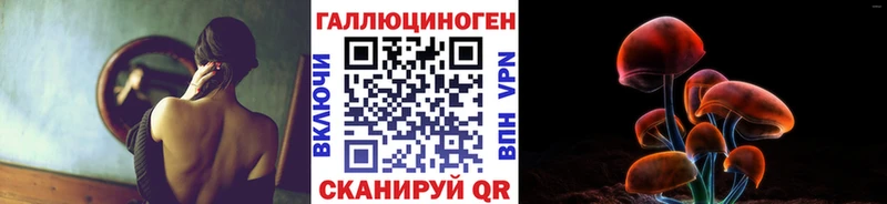 как найти закладки  Моздок  Псилоцибиновые грибы Cubensis 
