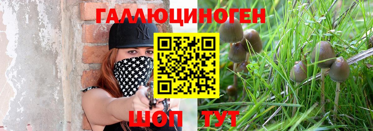Галлюциногенные грибы прущие грибы  Псилоцибиновые грибы GOLDEN TEACHER  Моздок  Вход с VPN 