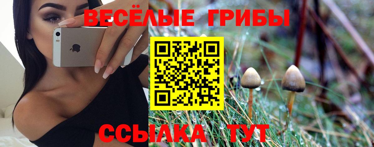 Галлюциногенные грибы ЛСД Моздок